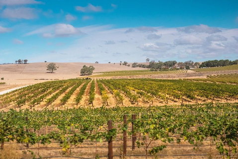 Barossa Valley Private Tour (from 2 To 11 People) - Hobart Tourism 2