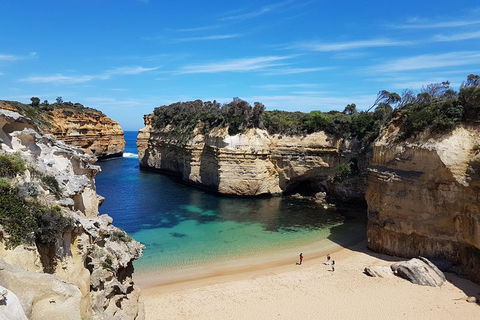 Helicopter Flight + Fine Dining Private Luxury Great Ocean Road Tour - Tourism TAS 1