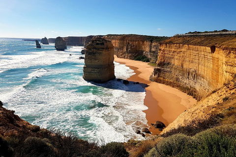 Helicopter Flight + Fine Dining Private Luxury Great Ocean Road Tour - Tourism TAS 4