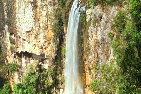 Natural Arch, Rainforest & Volcano Canyon - Private Half Day Tour - Tourism TAS 2