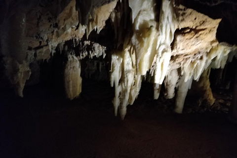 The Pinnacle Adventure Tour - Hobart Tourism 0