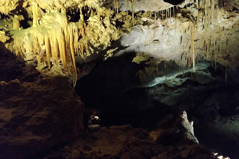 The Pinnacle Adventure Tour - Hobart Tourism 2