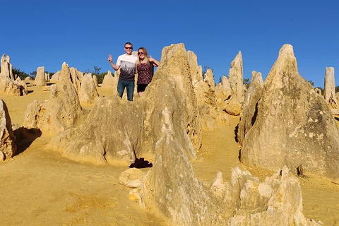 The Pinnacle Adventure Tour - Hobart Tourism 4