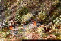 Half-Day Yanchep Ghost House Wilderness Guided Hike Tour, Perth
