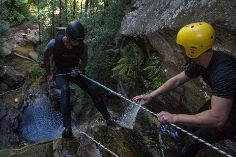 Blue Mountains Empress Canyon Adventure From Wentworth Falls - Hobart Tourism 2