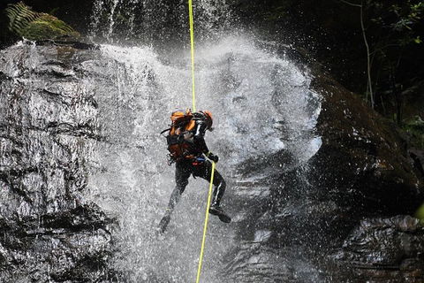 Blue Mountains Empress Canyon Adventure From Wentworth Falls - Hobart Tourism 3