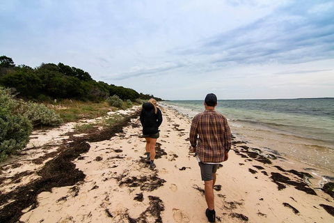 Phillip Island And French Island Wildlife Expedition - Tourism TAS 1