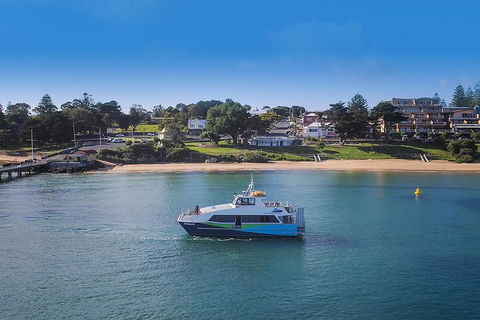 Phillip Island And French Island Wildlife Expedition - Tourism TAS 2