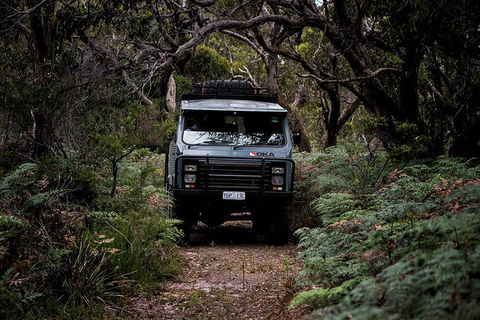 Phillip Island And French Island Wildlife Expedition - Tourism TAS 4