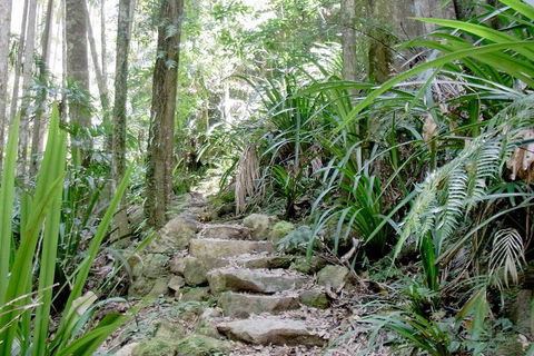 Byron Bay Combo: Minyon Falls And Hinterland Day Trip And Learn To Surf At Byron Bay - Hobart Tourism 3