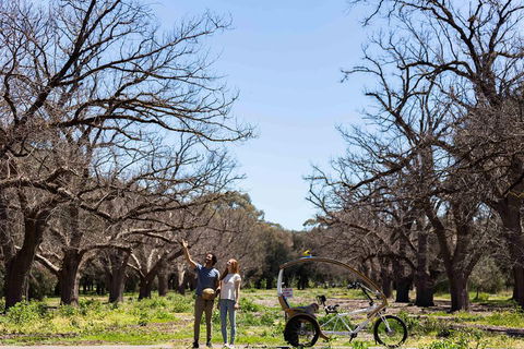 Adelaide 90-Minute Pedicab Tour: Scenic Green & River Experience - Tourism TAS 1