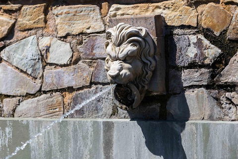 Adelaide 90-Minute Pedicab Tour: Scenic Green & River Experience - Tourism TAS 3