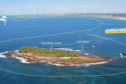 1.5HR Mudjimba Island Wildlife Safari - Hobart Tourism 1