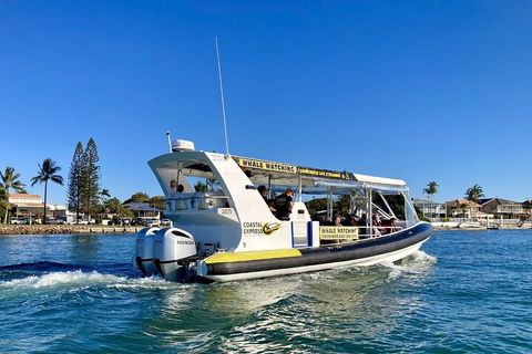 1.5HR Mudjimba Island Wildlife Safari - Hobart Tourism 4