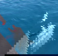 Noosa Thriller - 500hp Ocean Adventure Ride - Tourism TAS