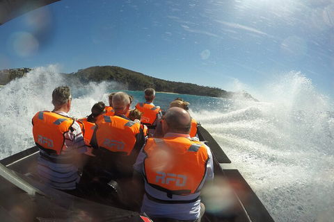 Noosa Thriller - 500hp Ocean Adventure Ride - Tourism TAS 3