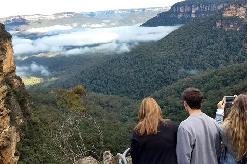Blue Mountains Private Tour - Wild Kangaroos, Waterfalls And The Three Sisters - Tourism TAS 3