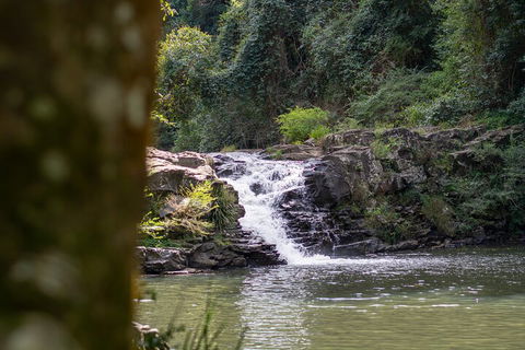 Full-Day Guided Hinterland Adventure Tour In Queensland - Hobart Tourism 1