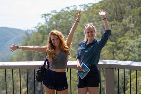Full-Day Guided Hinterland Adventure Tour In Queensland - Hobart Tourism 3