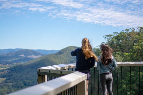 Full-Day Guided Hinterland Adventure Tour In Queensland - Hobart Tourism 5