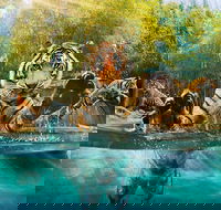 Croc Express to Australia Zoo from Brisbane - Tourism TAS