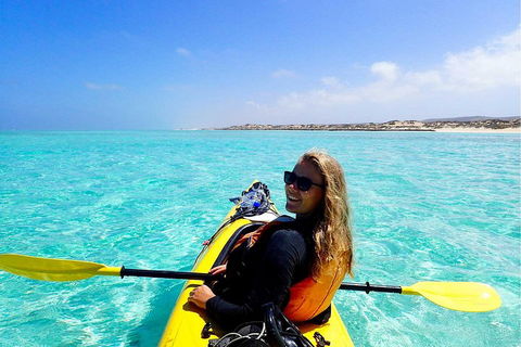 Lagoon Explorer - Ningaloo Reef Full-Day Kayaking And Snorkeling Adventure - Hobart Tourism 1