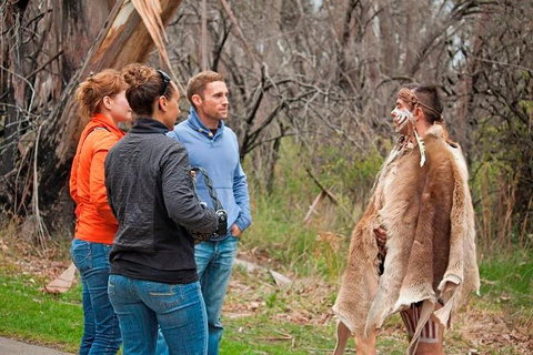 Blue Mountains Tour From Sydney With An Aboriginal Experience - Tourism TAS 3