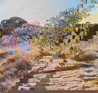 Kings Canyon Day Trip from Ayers Rock Uluru - Hobart Tourism