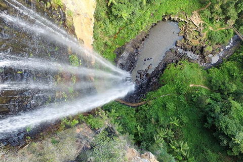 Natural Bridge & Springbrook Waterfalls Tour + Hot Air Balloon With Breakfast - Tourism TAS 1