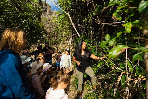 Cape Byron Aboriginal Tour - Tourism TAS 4