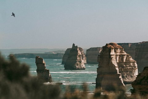 Half-Day Or Full-Day Tour With Private Guide From Melbourne - Tourism TAS 0