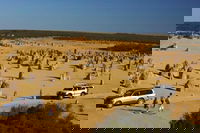 1-Day Pinnacles and Yanchep Tour from Perth including Fish and Chips Lunch