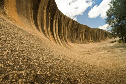 2-Day Wave Rock, York, Wildflowers & Aboriginal Experience - Hobart Tourism 1