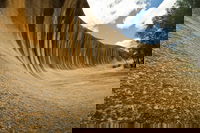 Wave Rock York Wildflowers and Aboriginal Cultural Day Tour from Perth