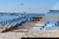 Monkey Mia Dolphins  Shark Bay Air Tour From Perth