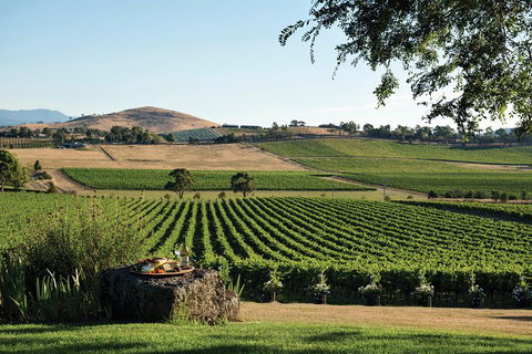 Small Group 6 Guests: Ultimate Yarra Valley Food And Wine - Mercedes Van - Hobart Tourism 4