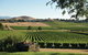 Yarra Valley Premium Tour Inc Lunch And Cheese, Chocolate Fondue At Rochford - thumb 1