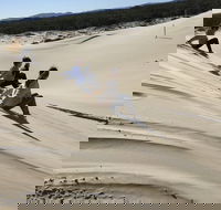 Port Stephens Bush Beach and Sand Dune 4WD Tag-Along Tour - Hobart Tourism