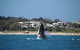 Byron Bay Whale Watching Cruise - thumb 3