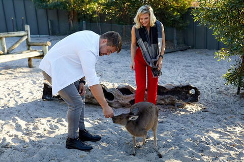 Albany's Whale Story - Tourism TAS 1
