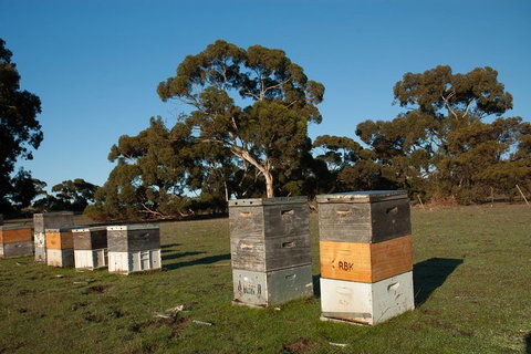 Fine Flavours - Full Day Kangaroo Island Food & Wine Tour - Hobart Tourism 1