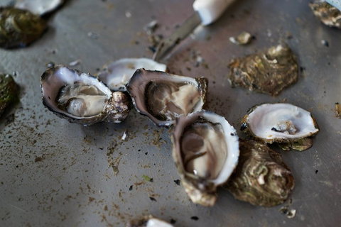 Fine Flavours - Full Day Kangaroo Island Food & Wine Tour - Hobart Tourism 2
