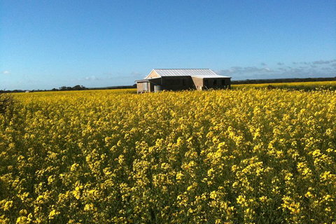 Fine Flavours - Full Day Kangaroo Island Food & Wine Tour - Hobart Tourism 3