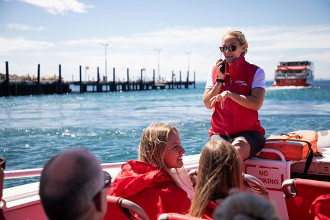 Adventure Rottnest Tour With Ferry & Adventure Cruise From Perth Or Fremantle - Tourism TAS 4
