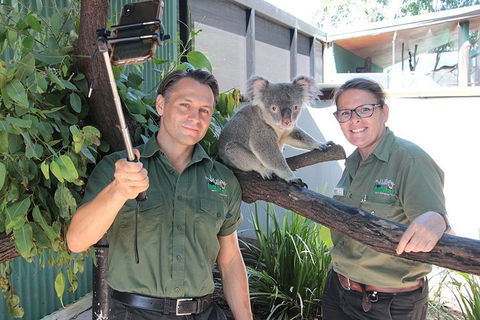 Virtual Interactive Australian Wildlife Tour With Private Guide-Wildlife Habitat - Tourism TAS 0