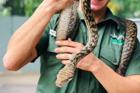 Virtual Interactive Australian Wildlife Tour With Private Guide-Wildlife Habitat - Tourism TAS 1