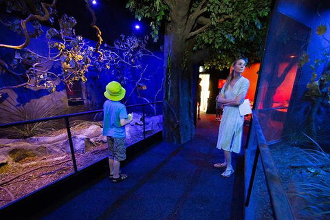 Wildlife Habitat Port Douglas - Tourism TAS 4