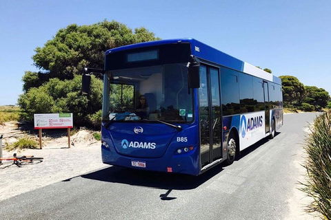 Rottnest Bayseeker Bus Tour From Hillarys Boat Harbour - Hobart Tourism 0