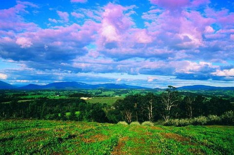 CHEVY CONVERTIBLE Package For 4 -Wine Lunch Cheese & Chocolate From Yarra Valley - Tourism TAS 4