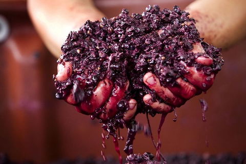 CHEVY CONVERTIBLE Package For 4 -Wine Lunch Cheese & Chocolate From Yarra Valley - Tourism TAS 5